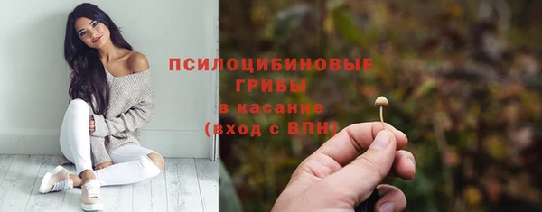 2c-b Верея